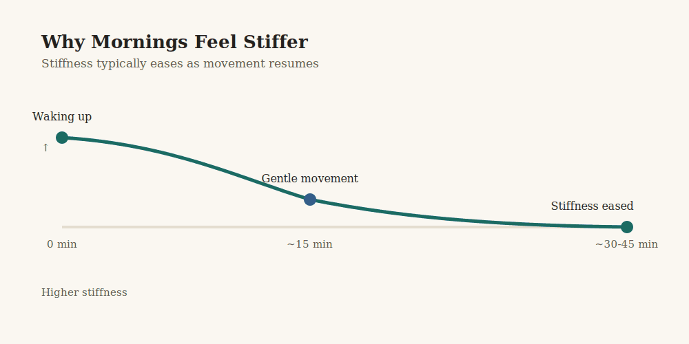 Timeline showing how morning joint stiffness typically eases within 30 to 45 minutes of movement